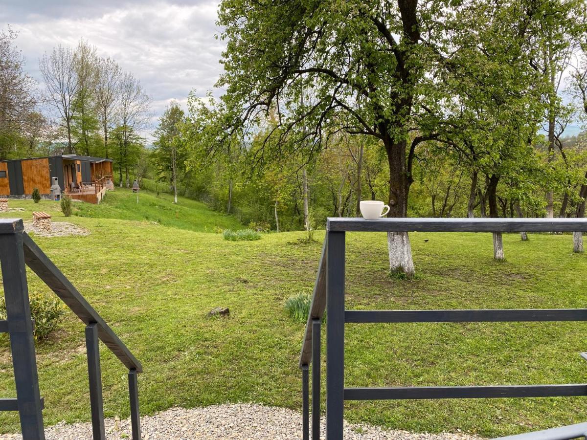 Chalet Casutele Din Poienita *