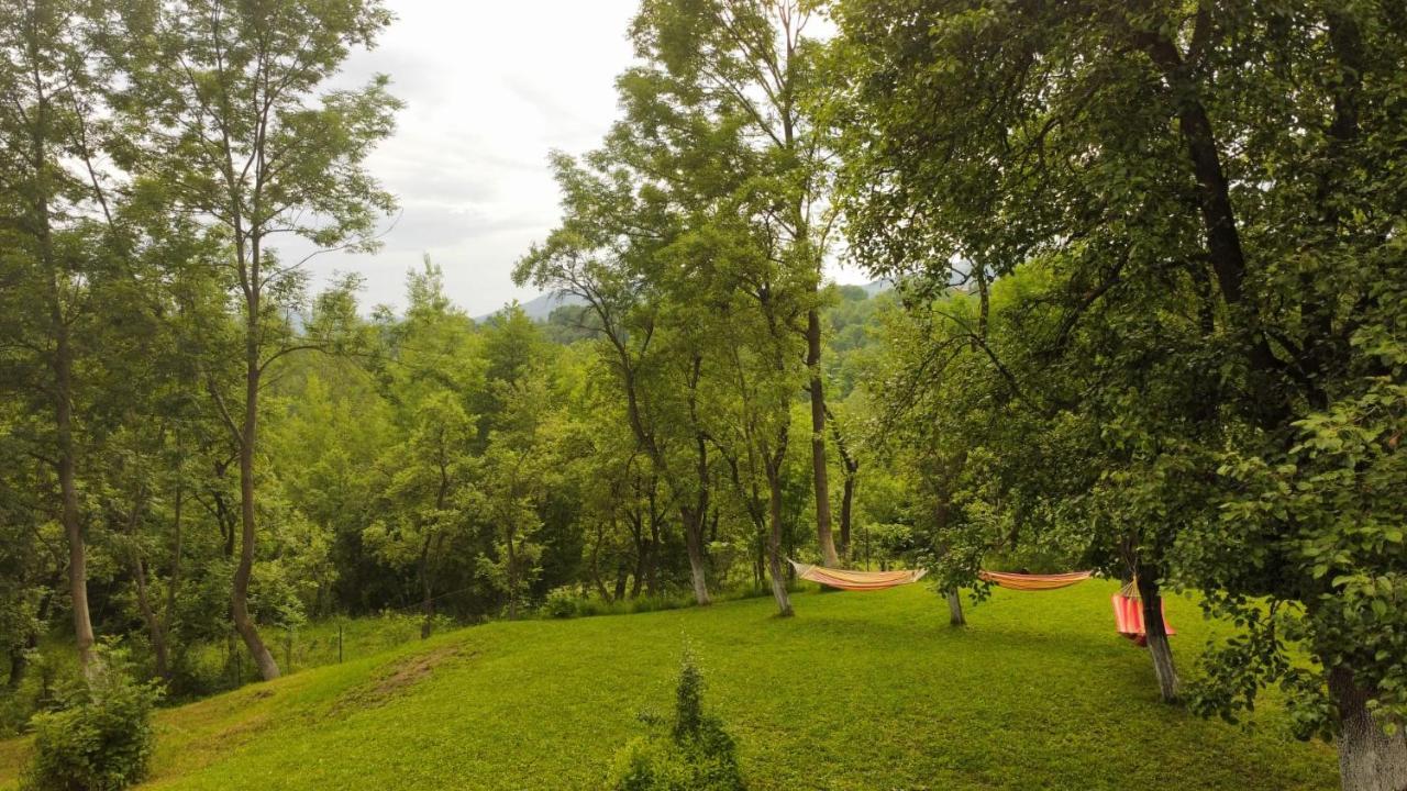 Casutele Din Poienita Chalet *