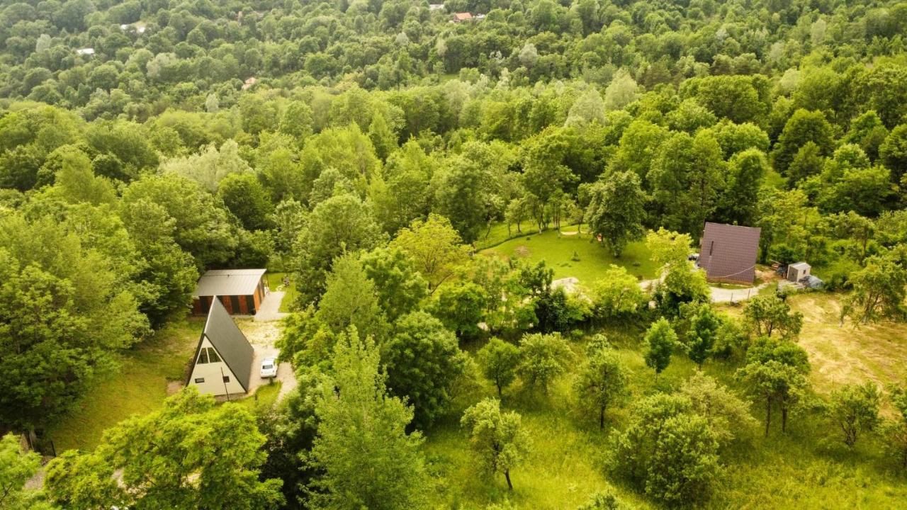 Casutele Din Poienita