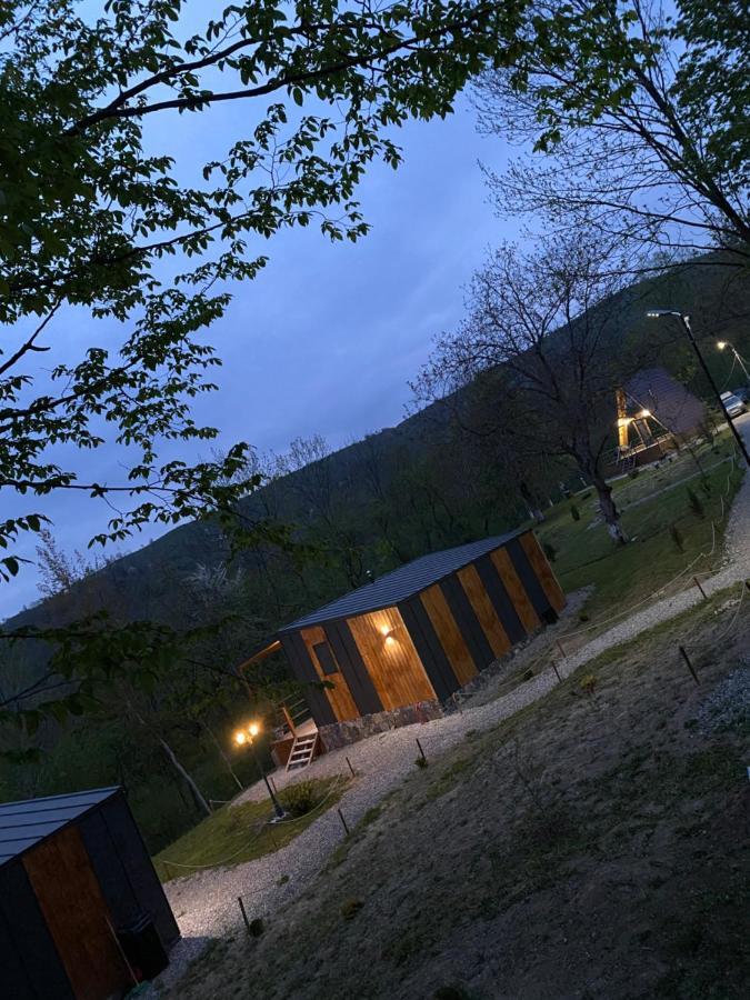 Casutele Din Poienita *
