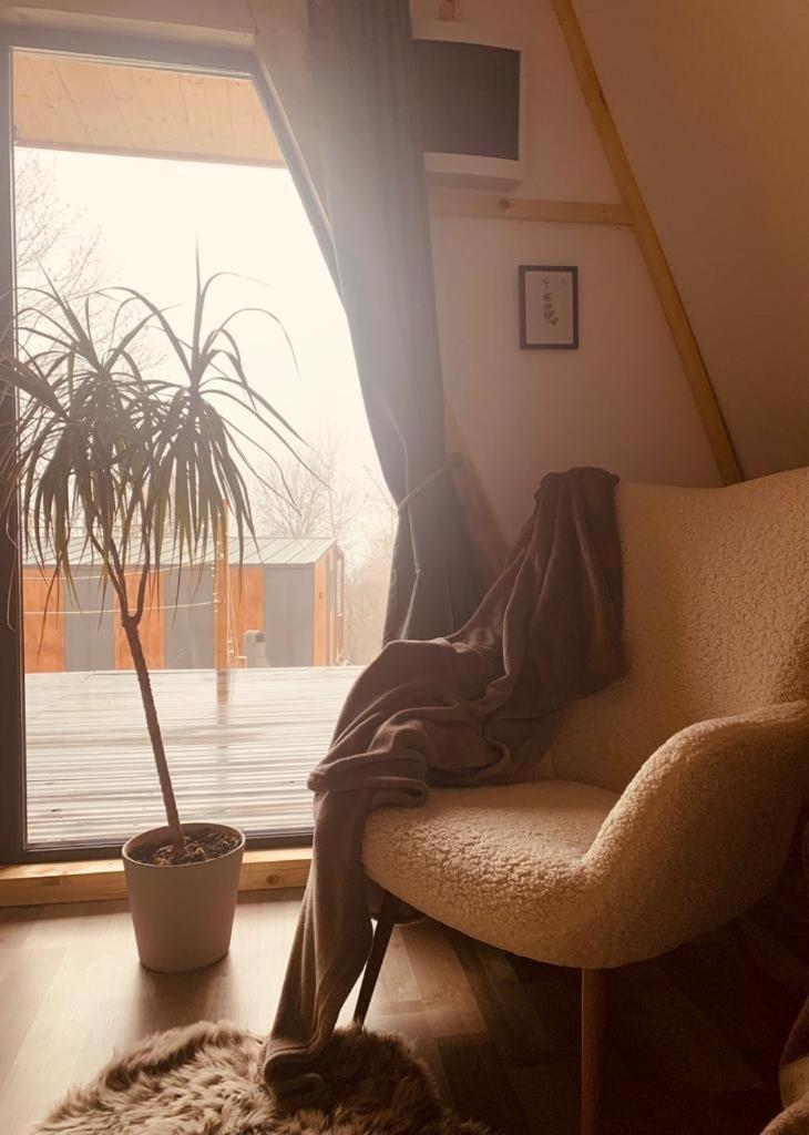 Chalet Casutele Din Poienita *